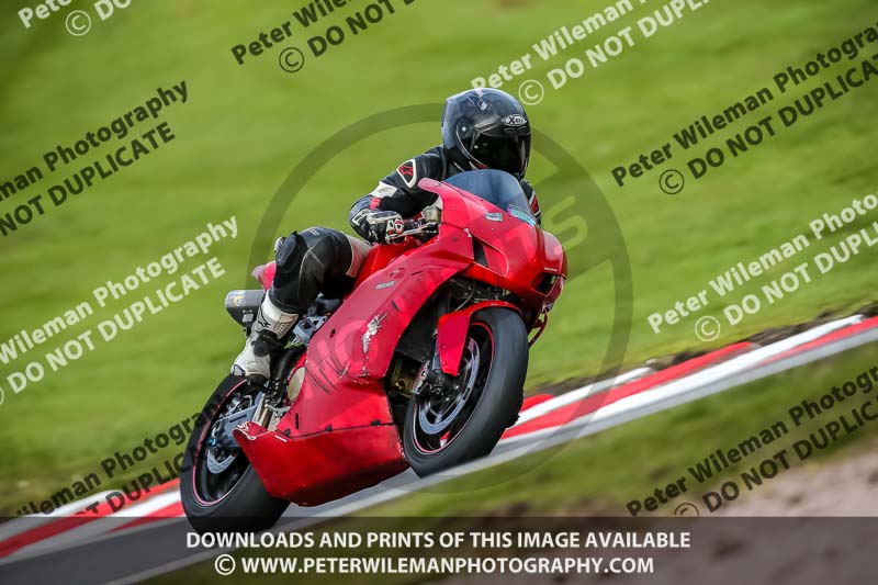 Oulton Park 21st March 2020;PJ Motorsport Photography 2020;anglesey;brands hatch;cadwell park;croft;donington park;enduro digital images;event digital images;eventdigitalimages;mallory;no limits;oulton park;peter wileman photography;racing digital images;silverstone;snetterton;trackday digital images;trackday photos;vmcc banbury run;welsh 2 day enduro